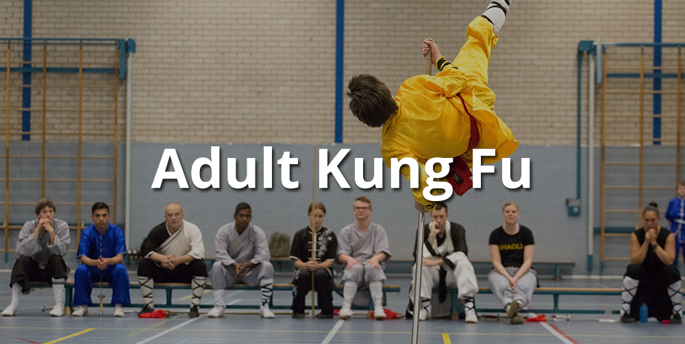 adult kung fu