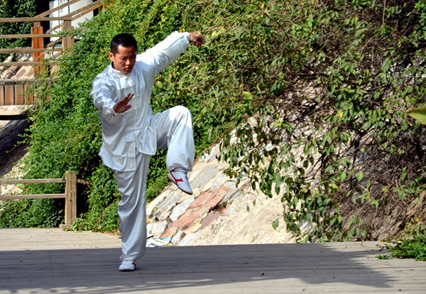 adult kung fu master