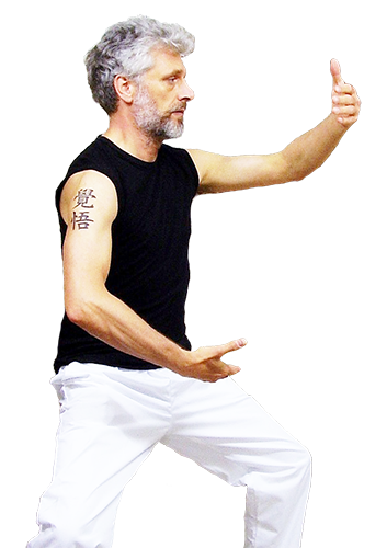 guy practicing kung fu
