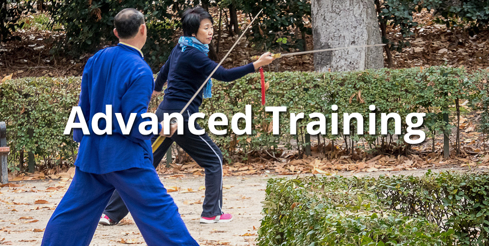 advanced-kung-fu-training