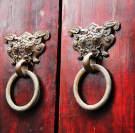 shaolin door handles