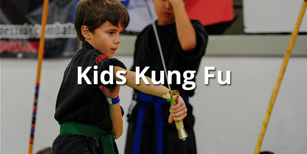 kids kung fu classes