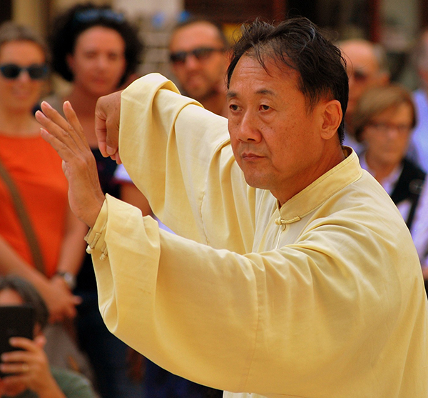 shi-fu-kung-fu kung fu master